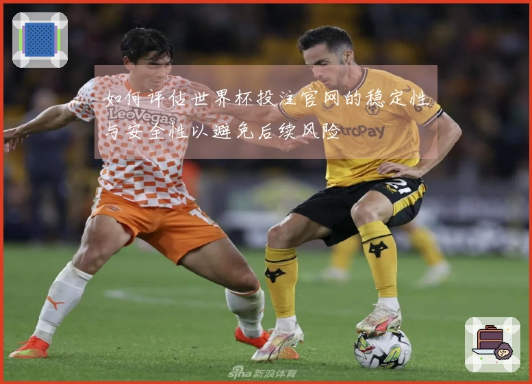 如何评估世界杯投注官网的稳定性与安全性以避免后续风险