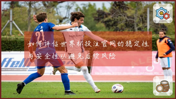 如何评估世界杯投注官网的稳定性与安全性以避免后续风险