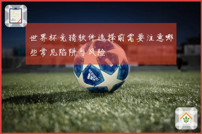 世界杯竞猜软件选择前需要注意哪些常见陷阱与风险